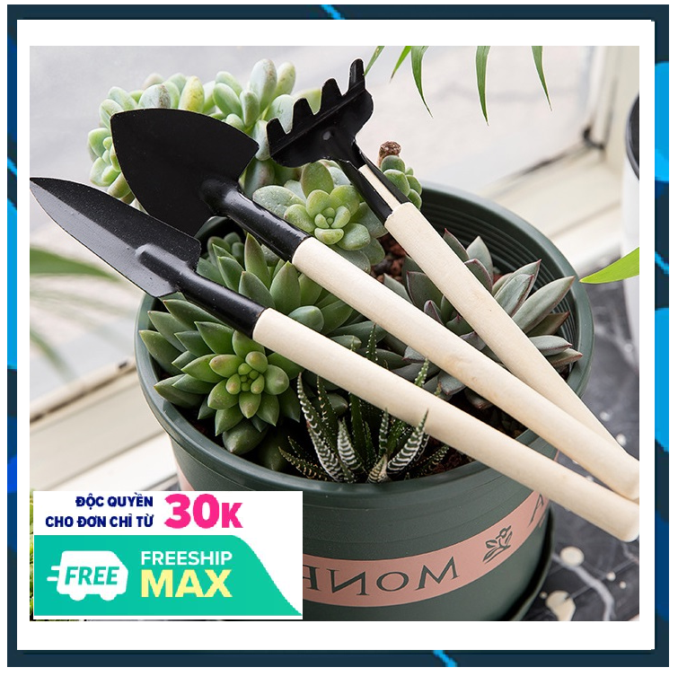 ⚡⚡ [SALE GIÁ RẺ] Bộ Xẻng Cào Mini trồng cây cảnh 3 Món (21cm) FUNO
