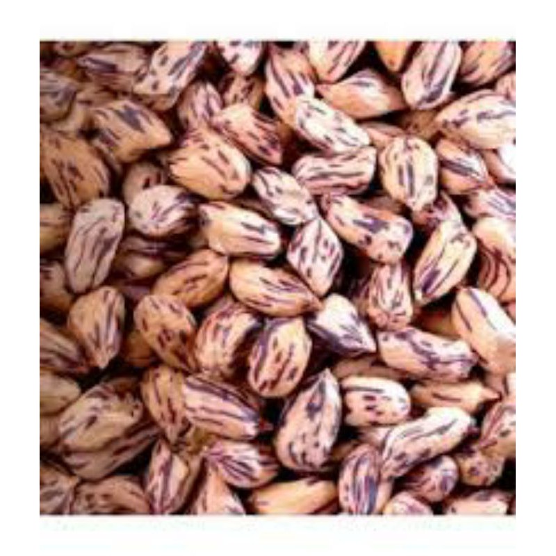 Hạt Giống Lạc Đầy Màu Sắc Luner - 10Gram