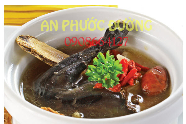 GIA VỊ  THUỐC BẮC NGON-BỔ-RẺ
