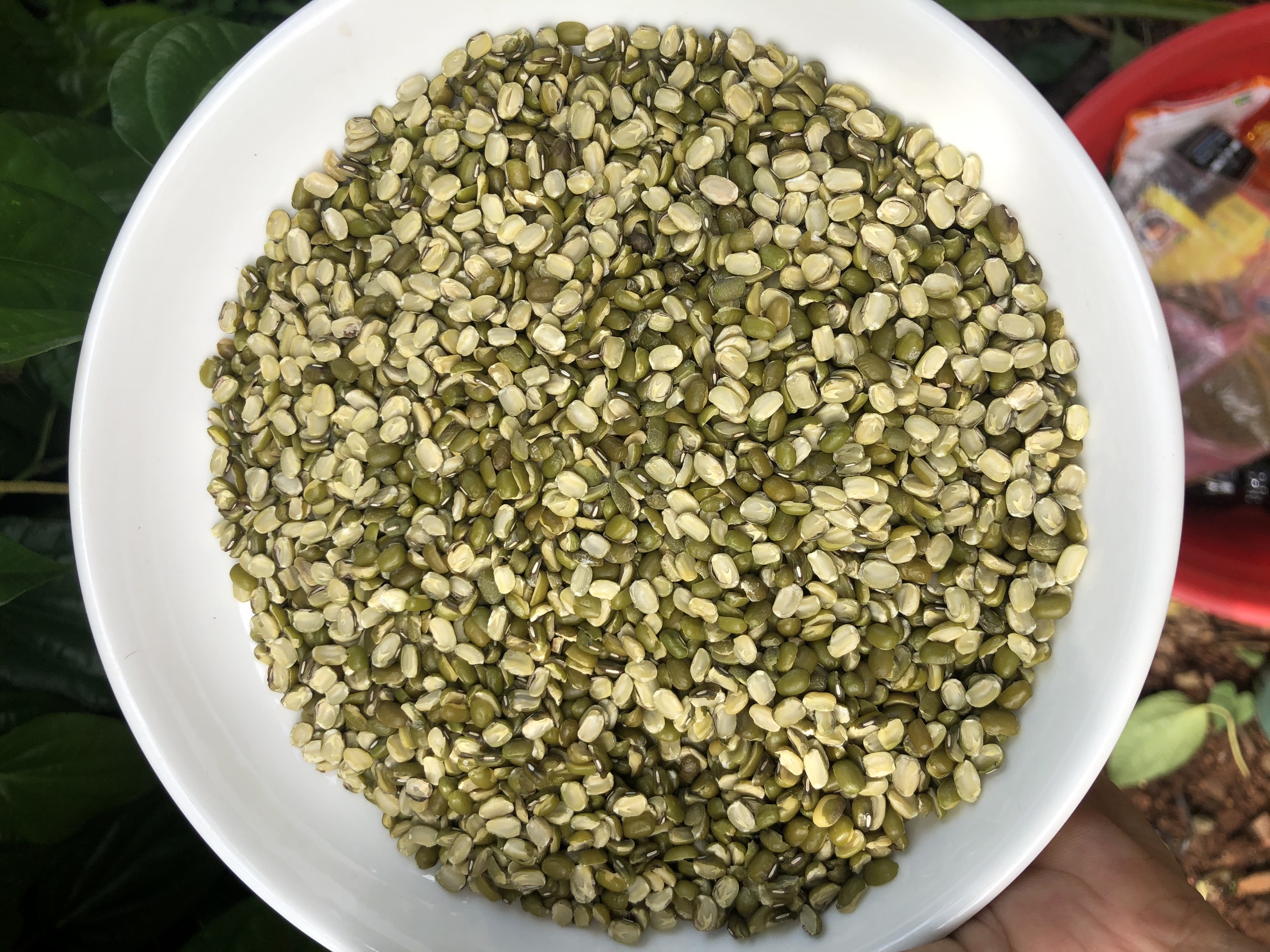 Đậu xanh Cà nửa, cà Còn Vỏ 500gr
