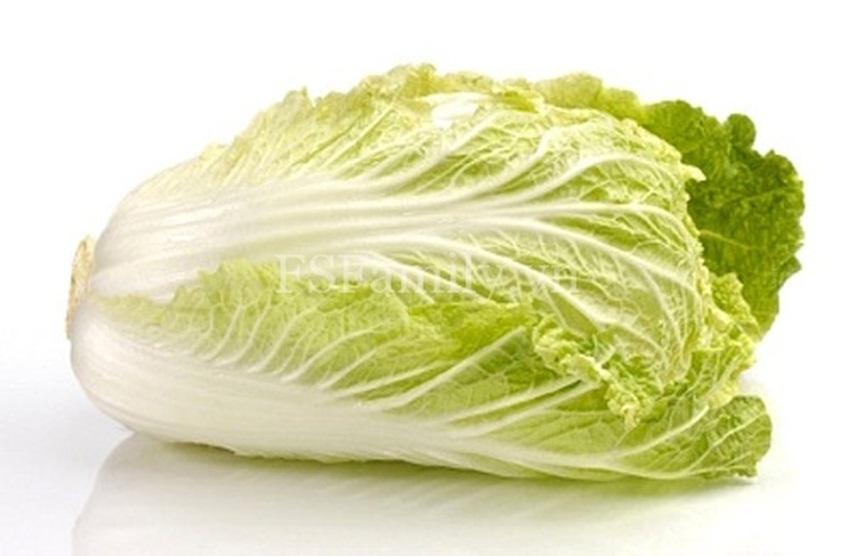 Hạt giống rau Cải Thảo