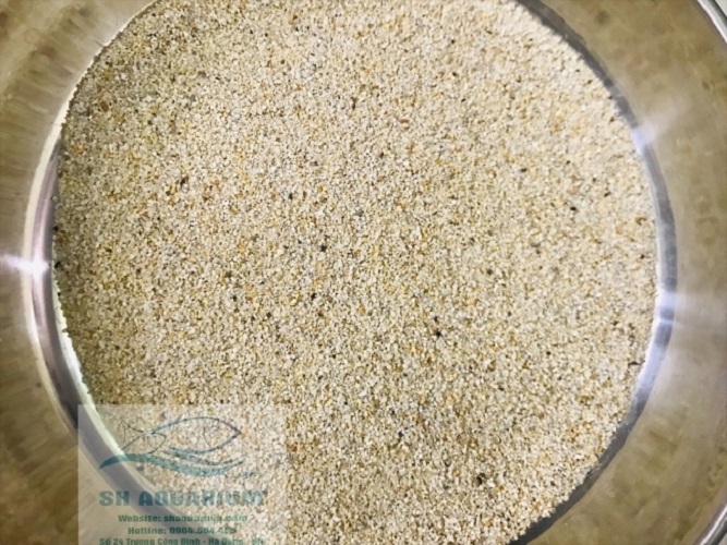 [HOÀN TIỀN 10%]CÁT NẮNG VÀNG (1KG)