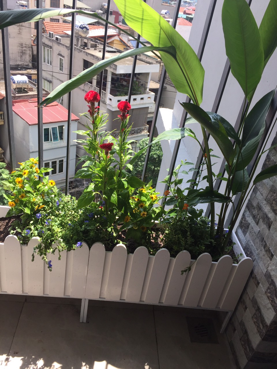 [kèm chân thép] chậu trồng cây composite hàng rào 50x20x(20+5)