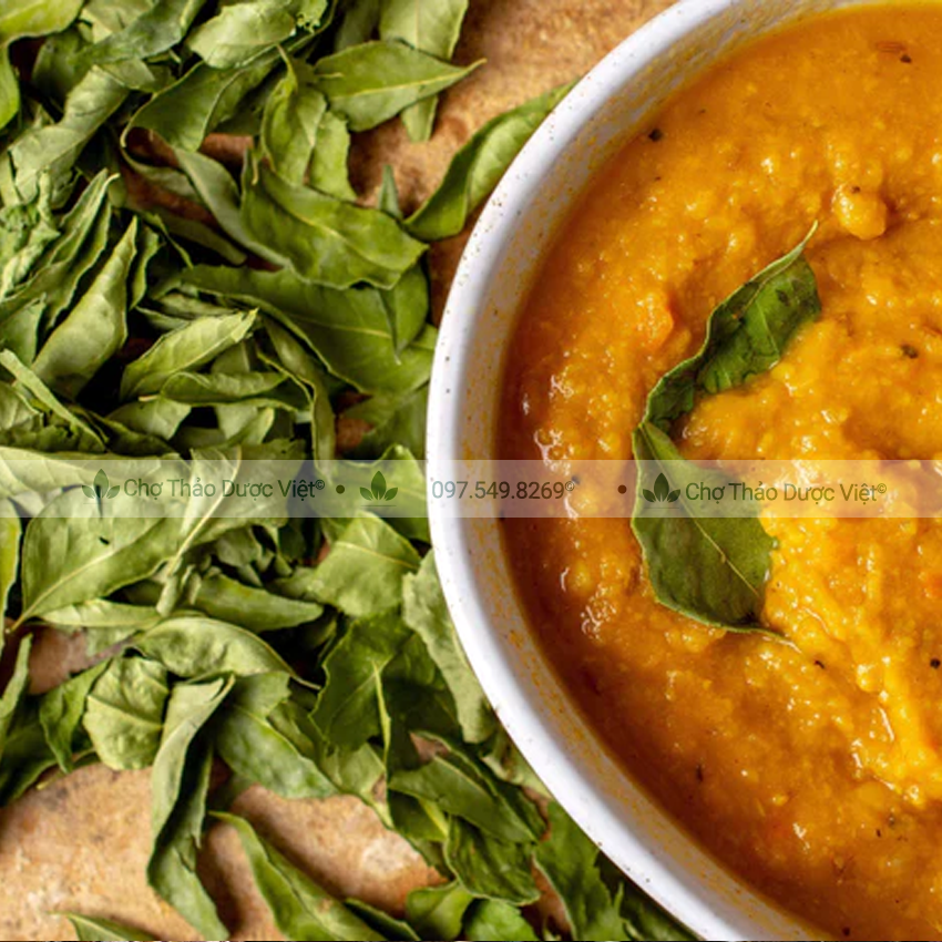 Lá cà ri khô 100g (Curry leaves) - Chợ Thảo Dược Việt