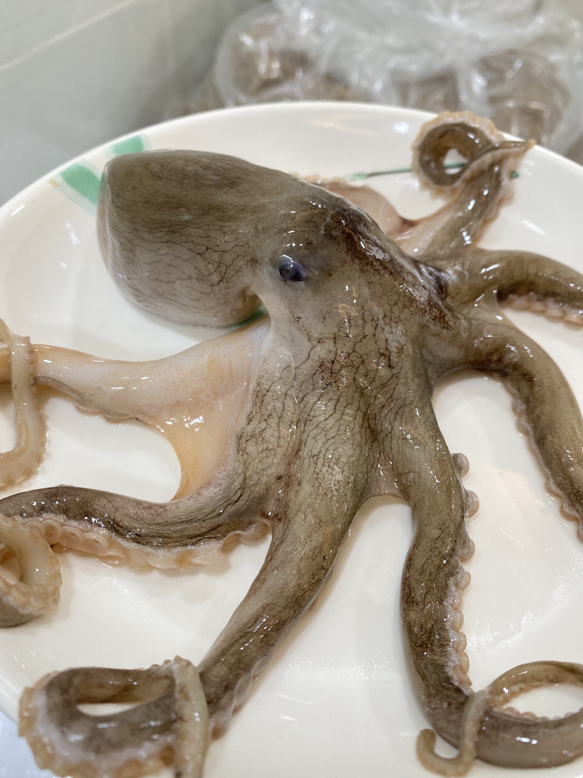 Bạch tuột 2 da 1kg (giao tphcm)
