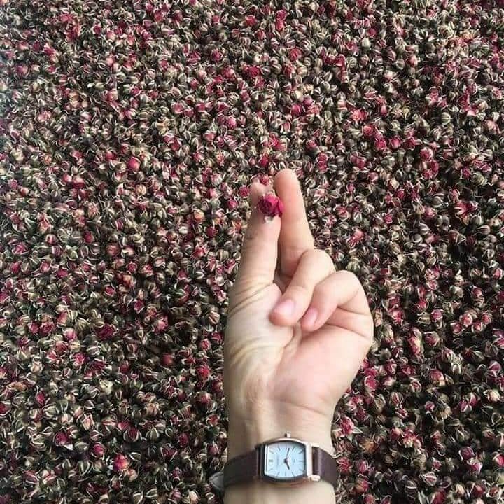 Nụ Hoa Hồng Sấy Khô 100g