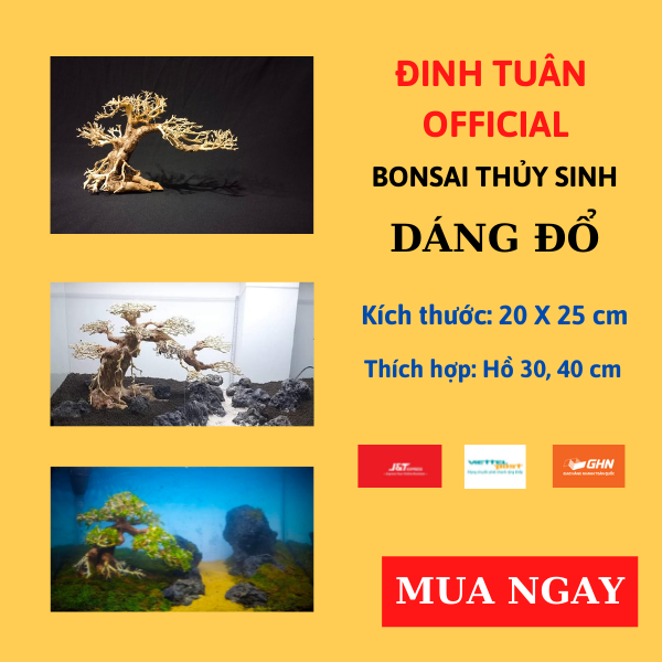 Lũa Bonsai thủy sinh mini dáng đổ cho hồ 30, 40 cm