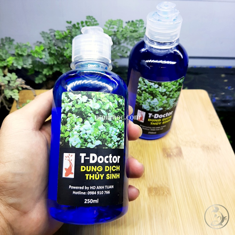 Dung Dịch Thuỷ Sinh T-Doctor - Chuyên Xử Lý Rữa Thân Ở Cây Ráy, Bucep