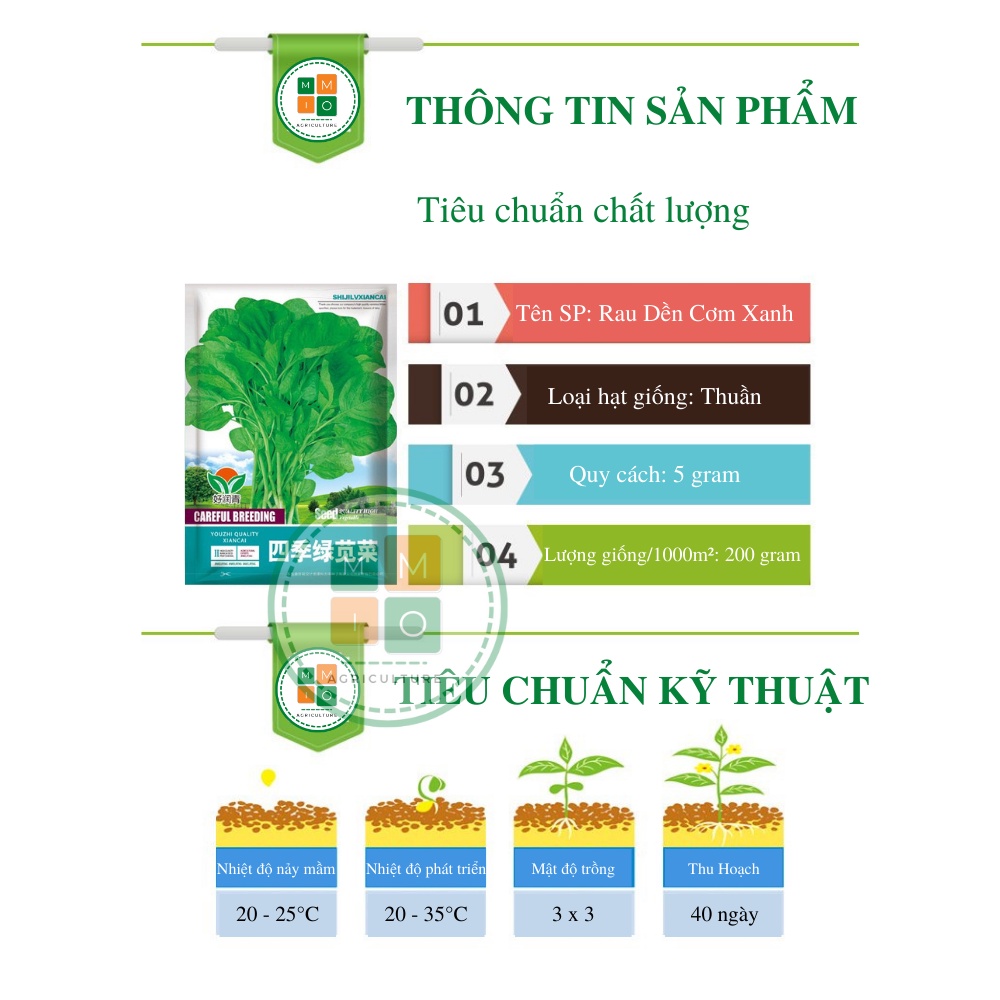 Hạt giống rau dền cơm xanh
