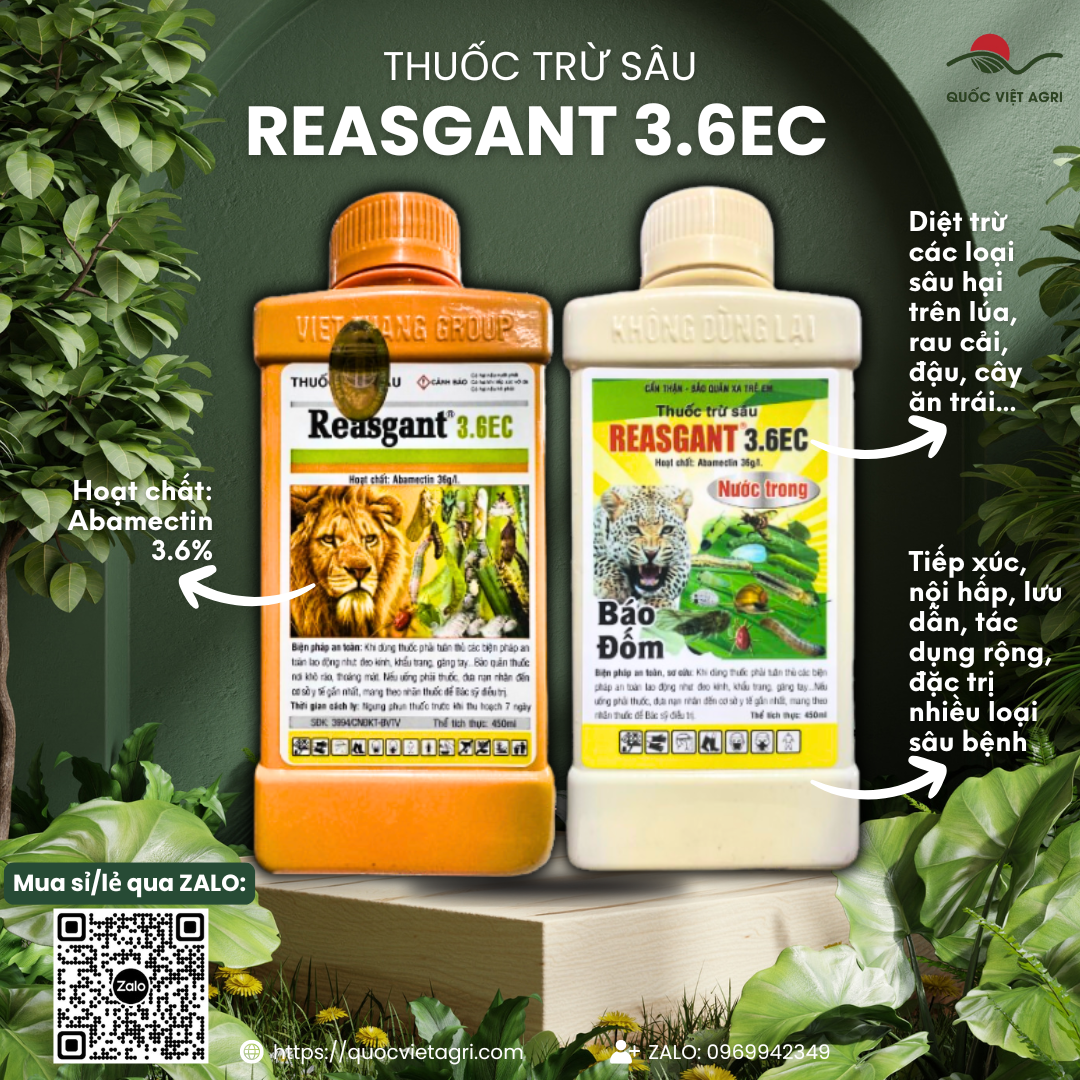 Thuốc trừ sâu REASGANT 3.6EC (chai 450ml) - Abamectin 36g/l Trừ bọ trĩ, rầy nâu, sâu xanh