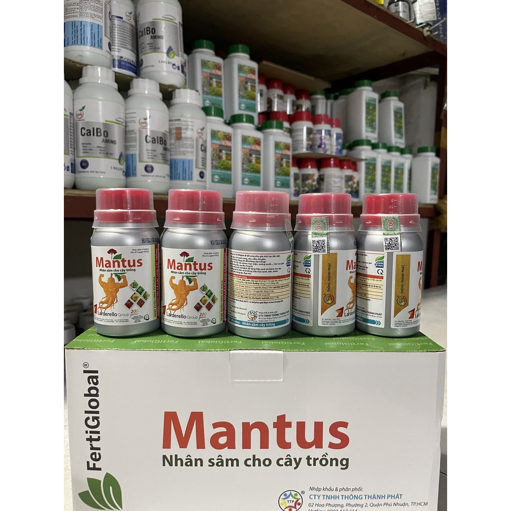 Mantus - Nhân Sâm Cây Trồng (Kỹ sư Thái - Giải Pháp Nông Nghiệp)
