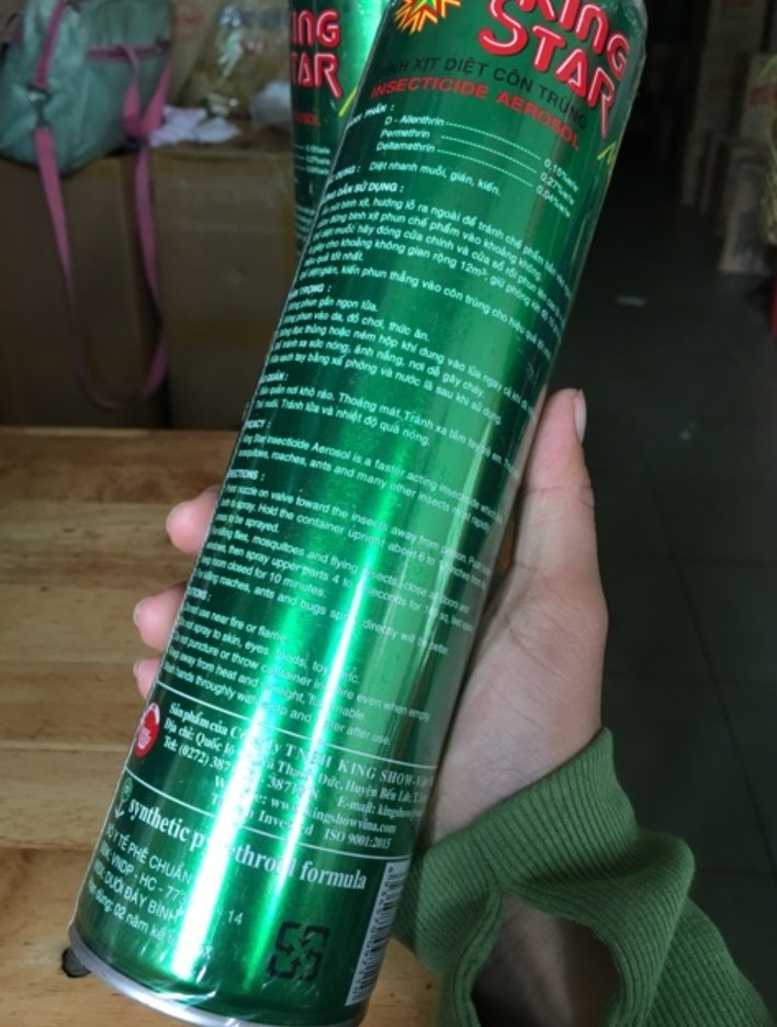 2 Bình xịt muỗi, kiến, côn trùng KING STAR 600ml