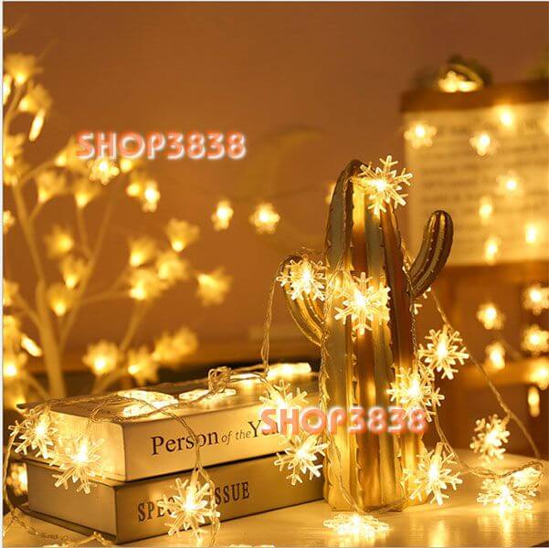Lựa Nguồn( Pin- USB- Điện)Dây Đèn Led Bông Tuyết Dài 6M - 40 Bóng