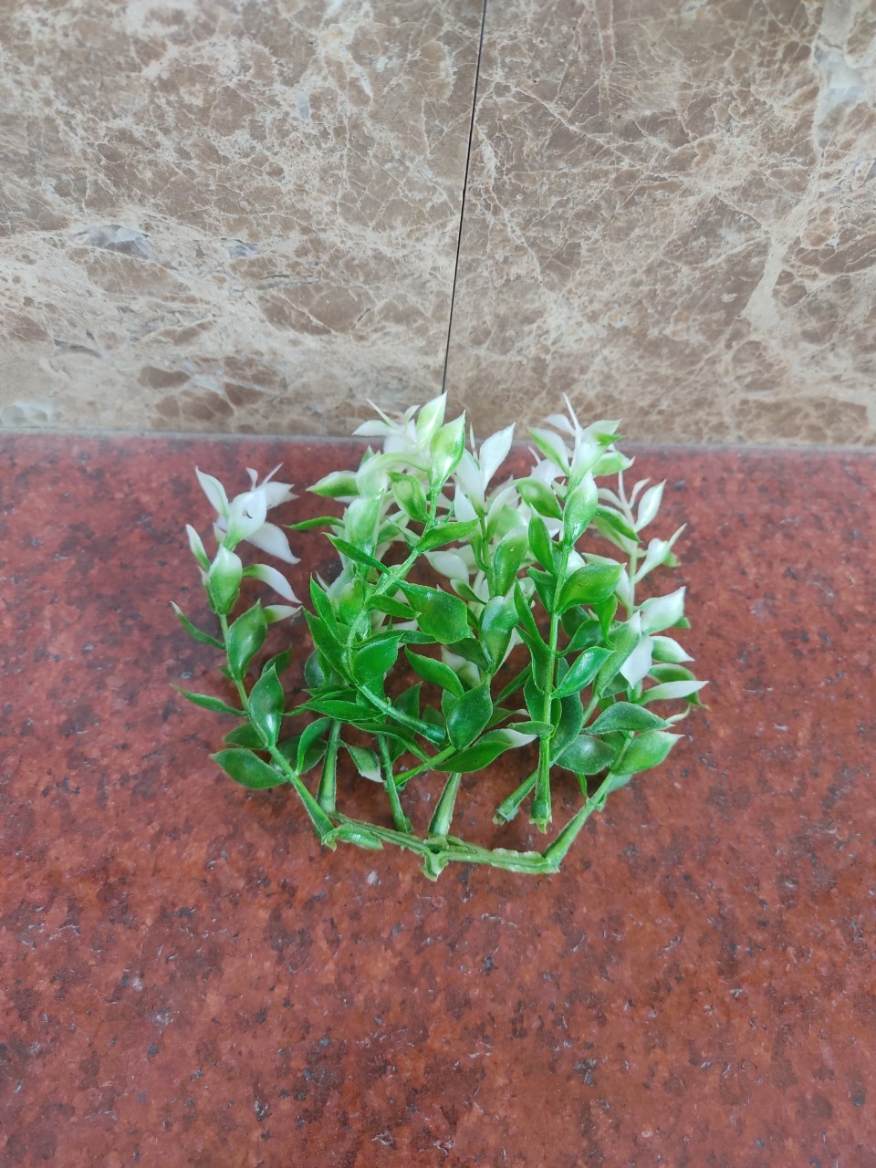 100g cỏ điểm đã bỏ gọng,điểm hoa sáp, hoa lụa, oản