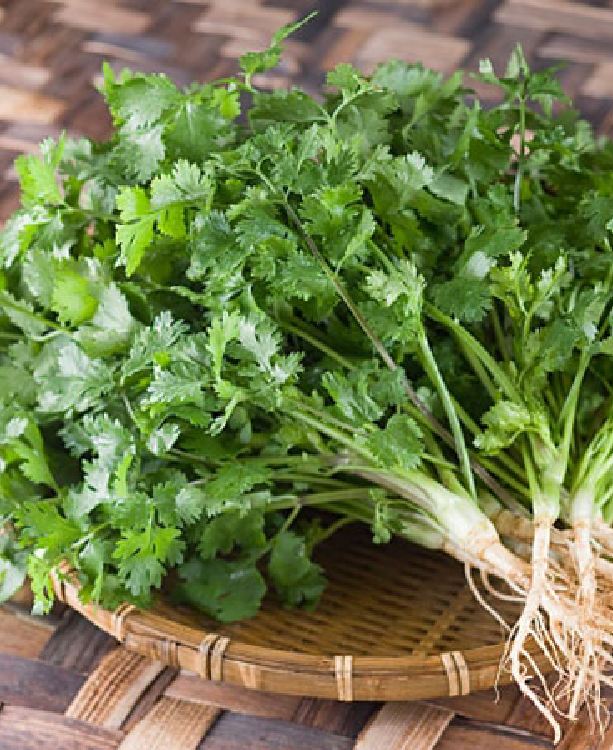 Túi 20 Gram Hạt giống rau Mùi tía