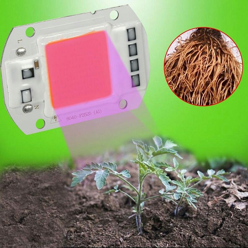 Chíp Led Quang Phổ Trồng Cây 220V 50W