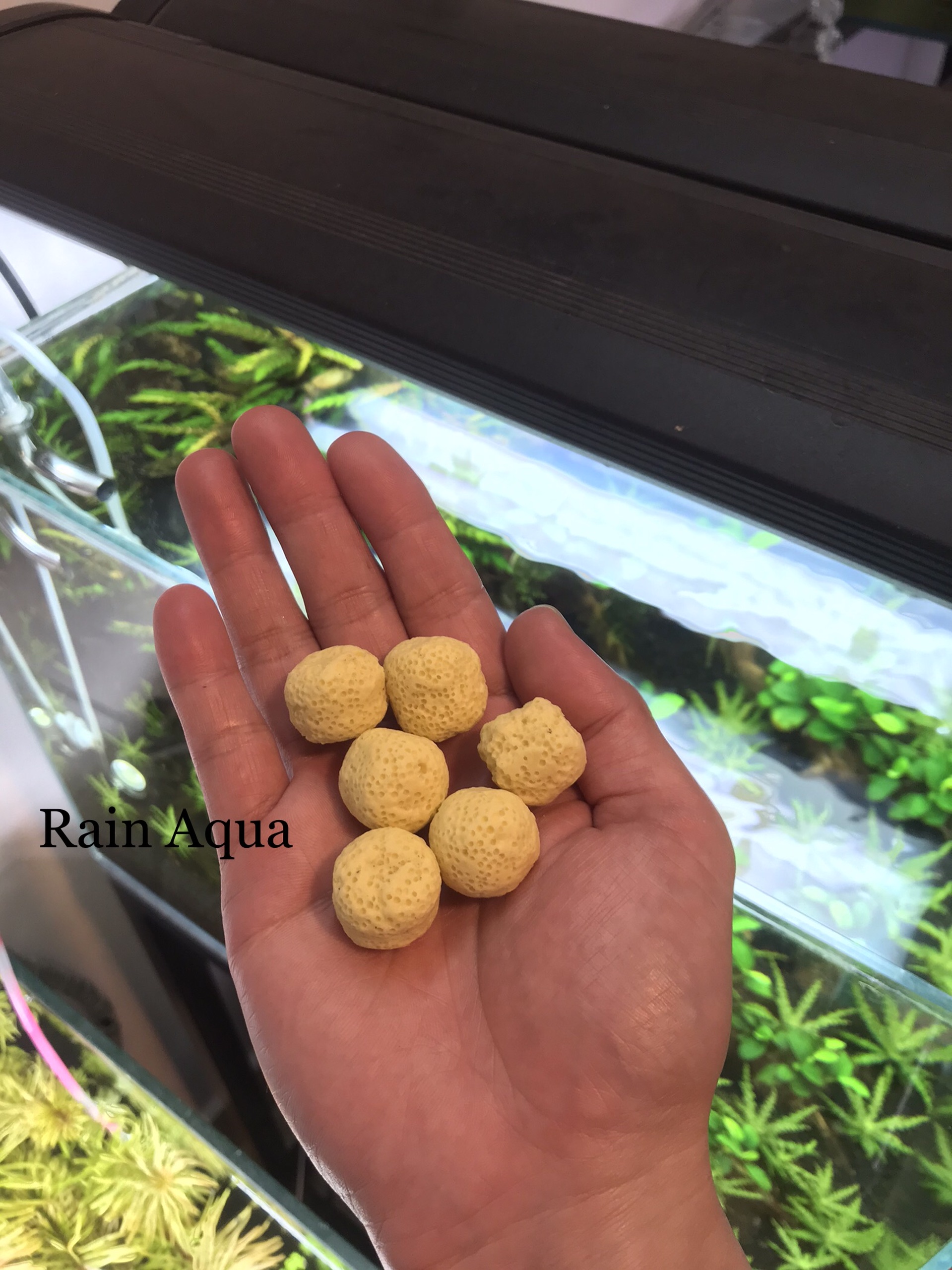 Sứ lọc viên bi tròn vàng