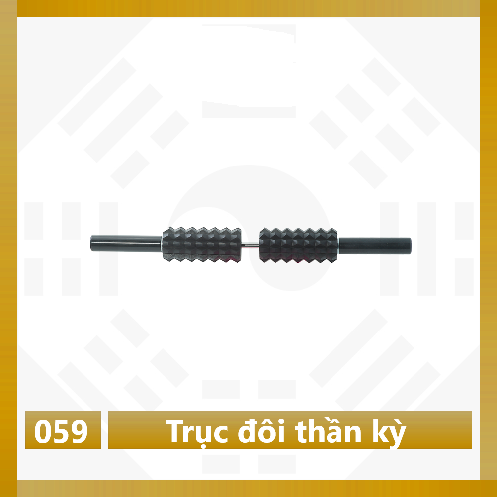 TRỤC ĐÔI THẦN KỲ DIỆN CHẨN