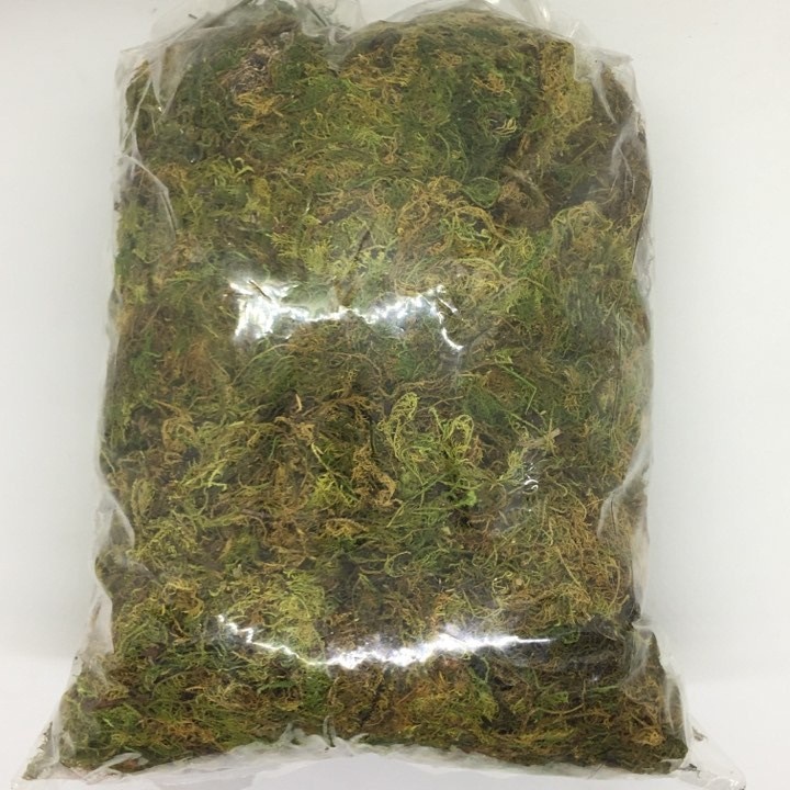 Rêu rừng trồng lan gói 200 gr