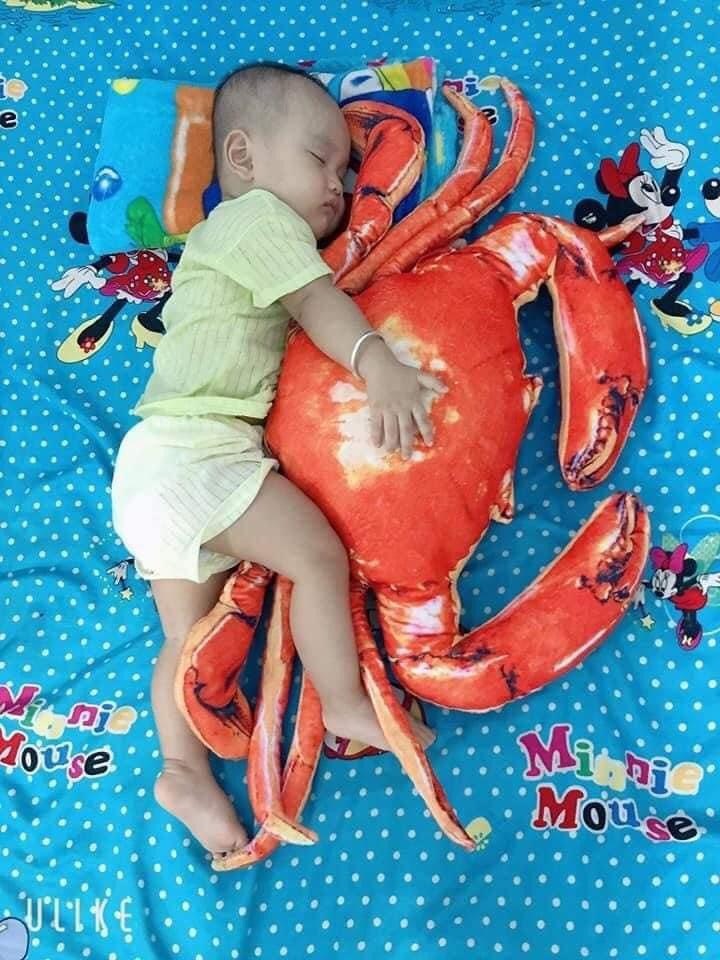 Gấu bông tôm, cua 3D giống thật