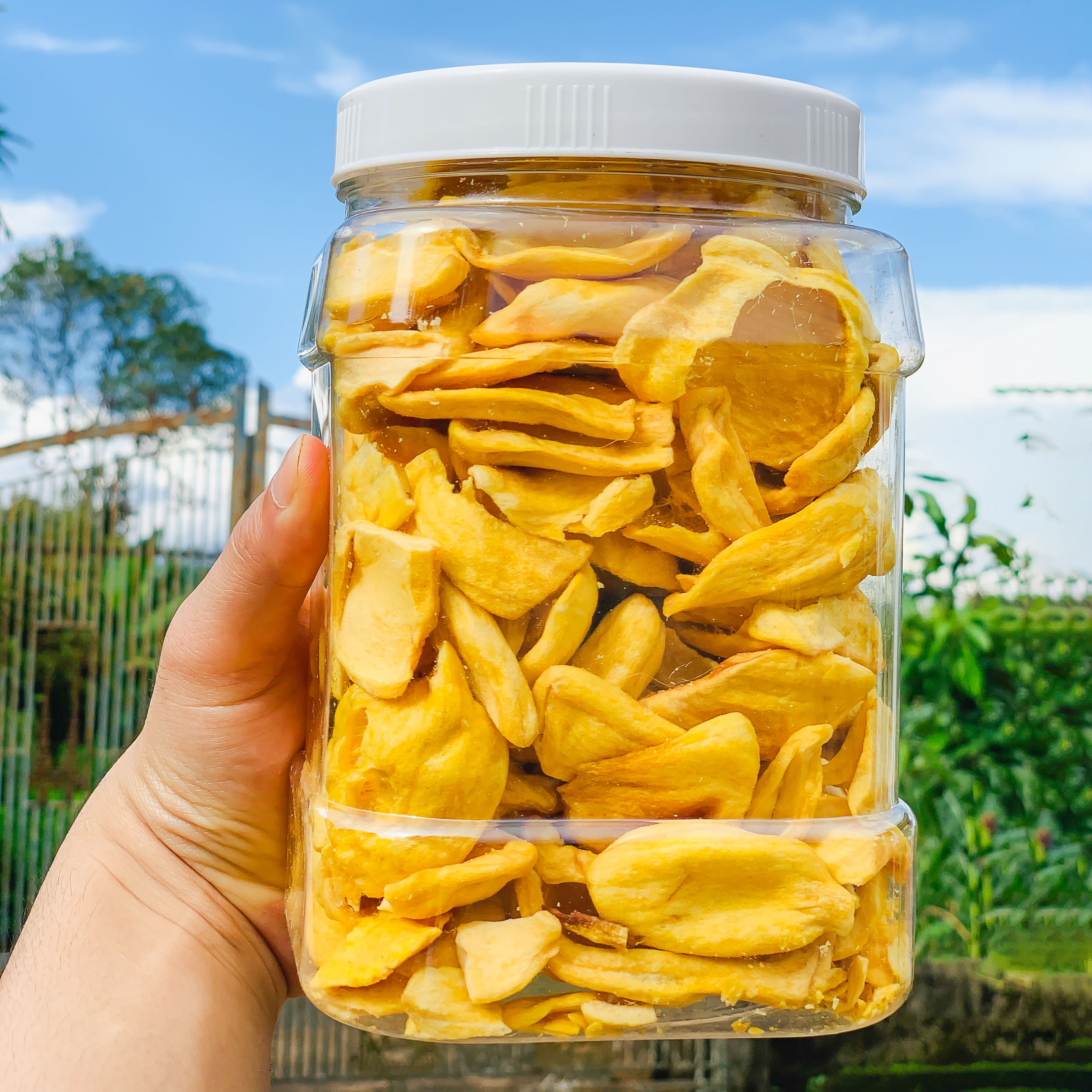 200GRAM Mít Sấy Giòn Thơm Ngon