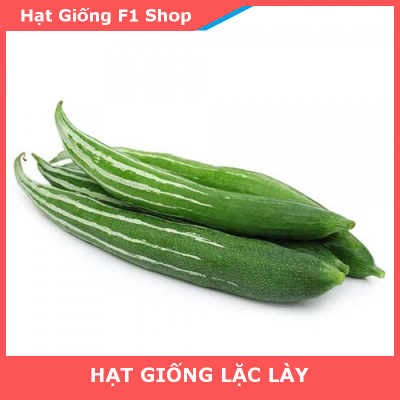 Hạt Giống Lặc Lày Lai F1 Dễ Trồng