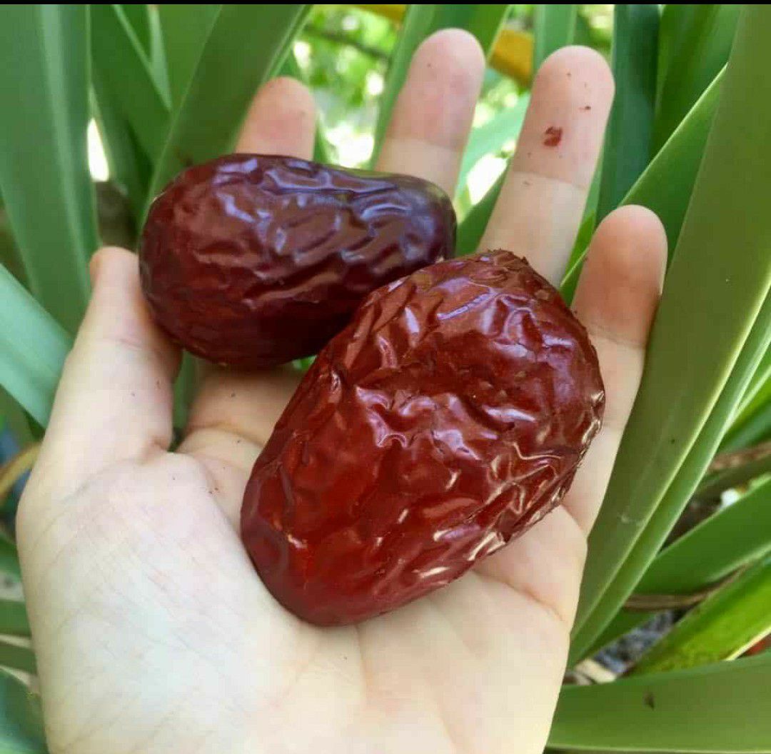 Táo Đỏ Trái Lớn Gói 500G