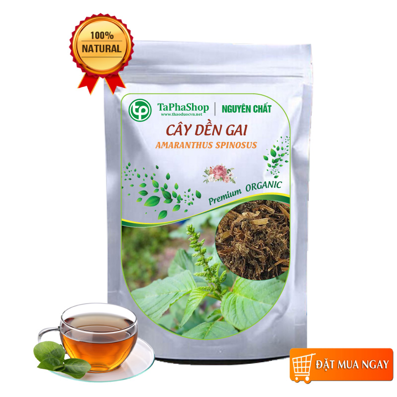 Cây dền gai khô 500g - tấn phát