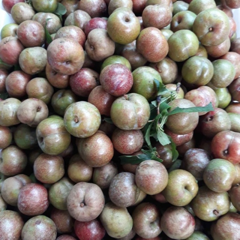 Mận hậu về thêm