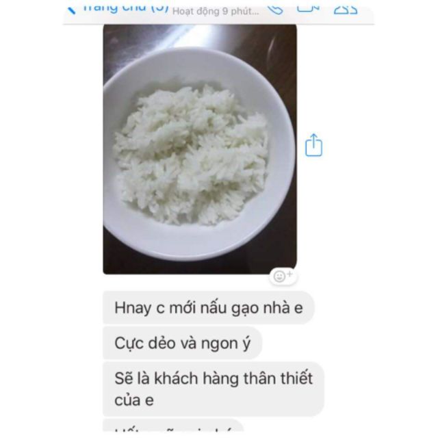 Gạo thái hồng Phú Hải 5kg