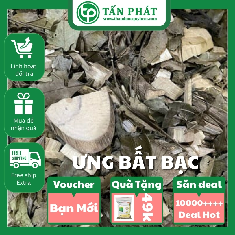 [Hàng mới nhập] Ưng bất bạc khô 500g - Tấn Phát - Chuyên dùng để sắc nước uống hoặc pha trà
