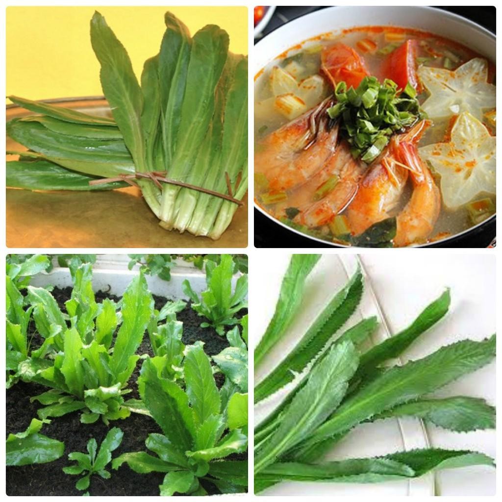 HẠT RAU NGÒ GAI - GÓI 3 GRAM