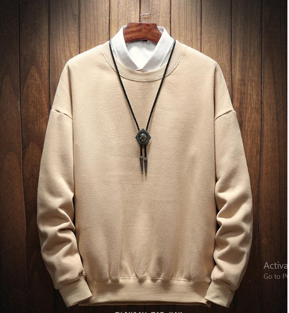 ÁO HOODIE NAM TRƠN KHÔNG NÓN CỰC CHẤT