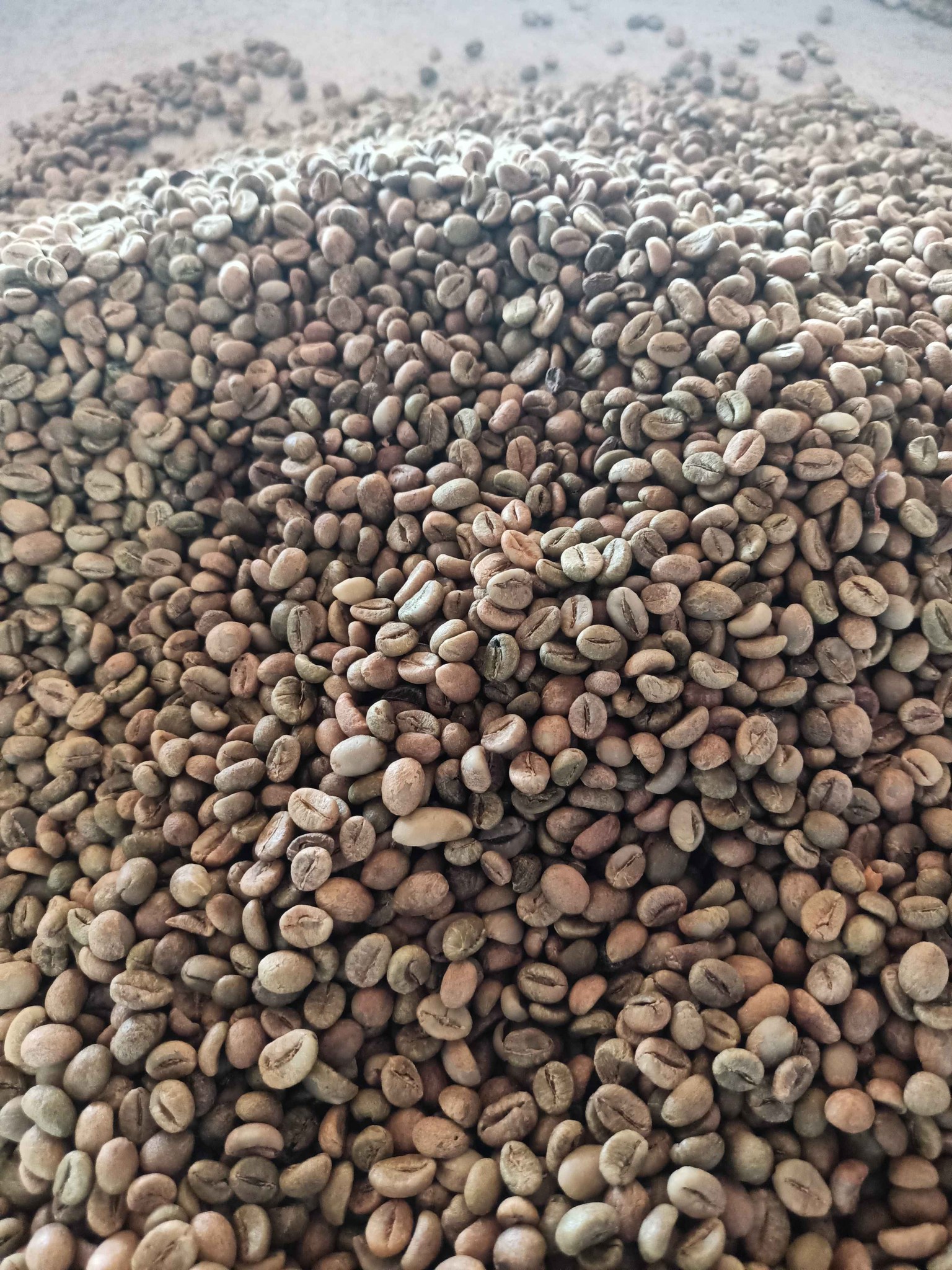200g Cà Phê Nhân Robusta