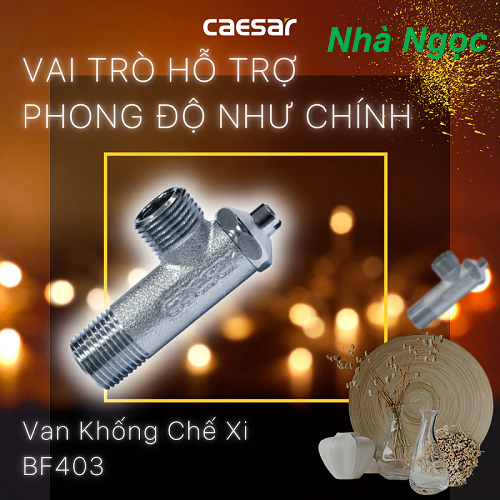 Van Khống Chế Xi CAESAR BF403 (Ø21), háng chính, giá rẻ