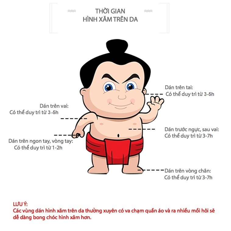 Hình dán chim én c01