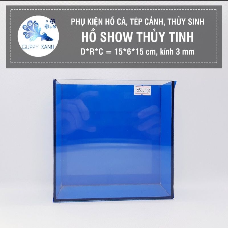 Hồ Show cá Betta & Guppy (Dấu keo) - Bể Cá mini