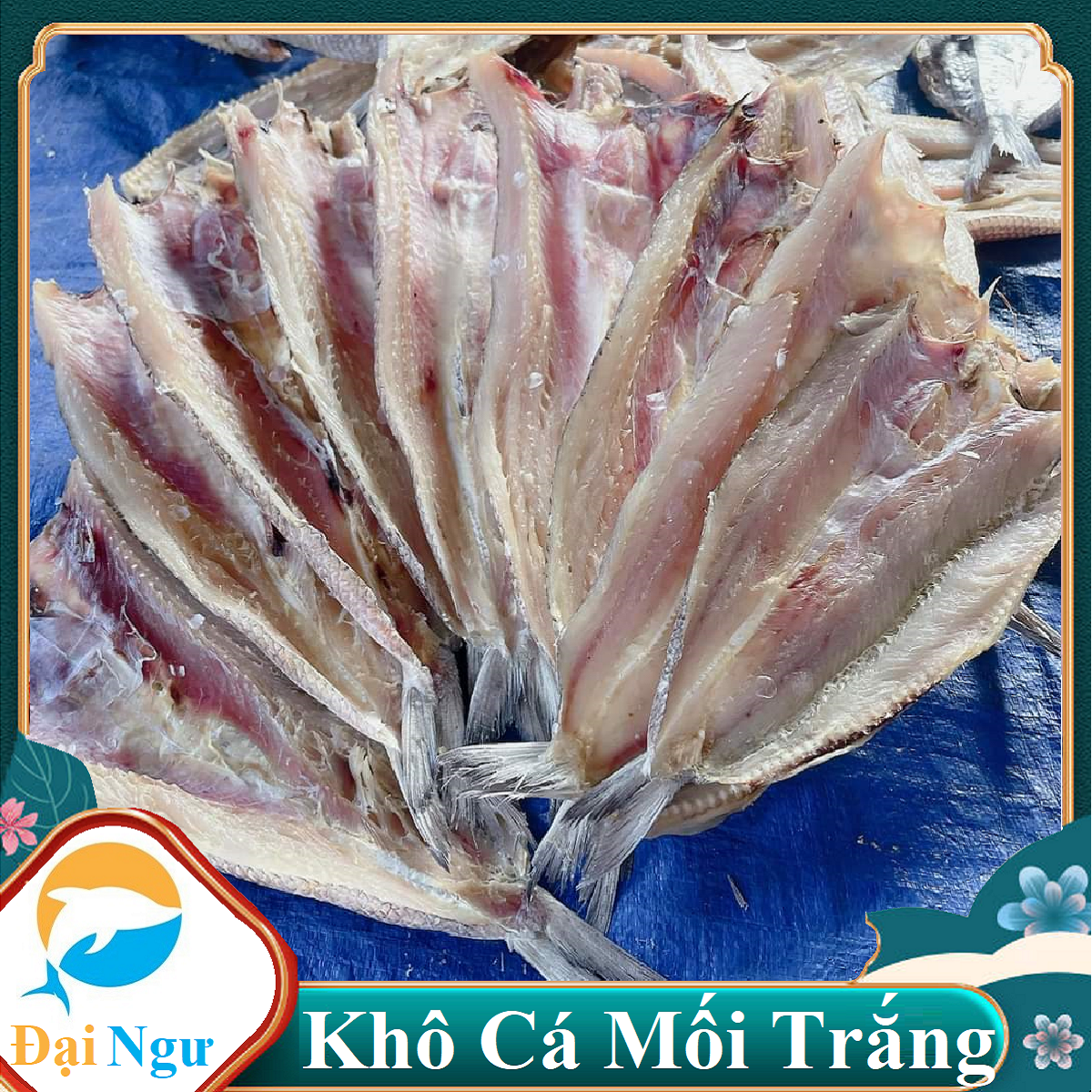 Khô cá mối ngon cơm khô cá mối trắng-hải sản cà mau vị vừa ăn --đại ngư