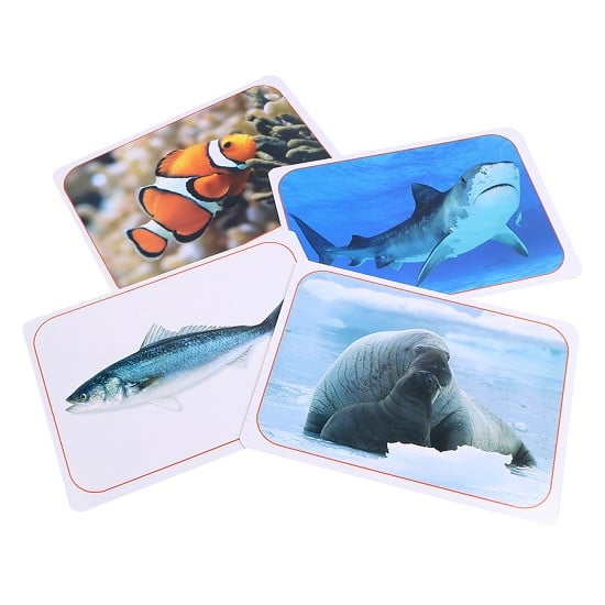 Fahasa - Flash Card Thông Minh - Động Vật Biển
