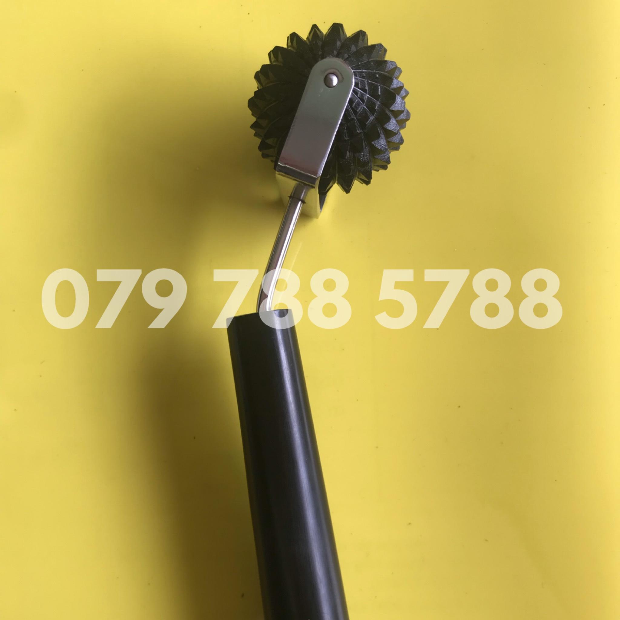 Lăn cầu gai đơn lớn diện chẩn