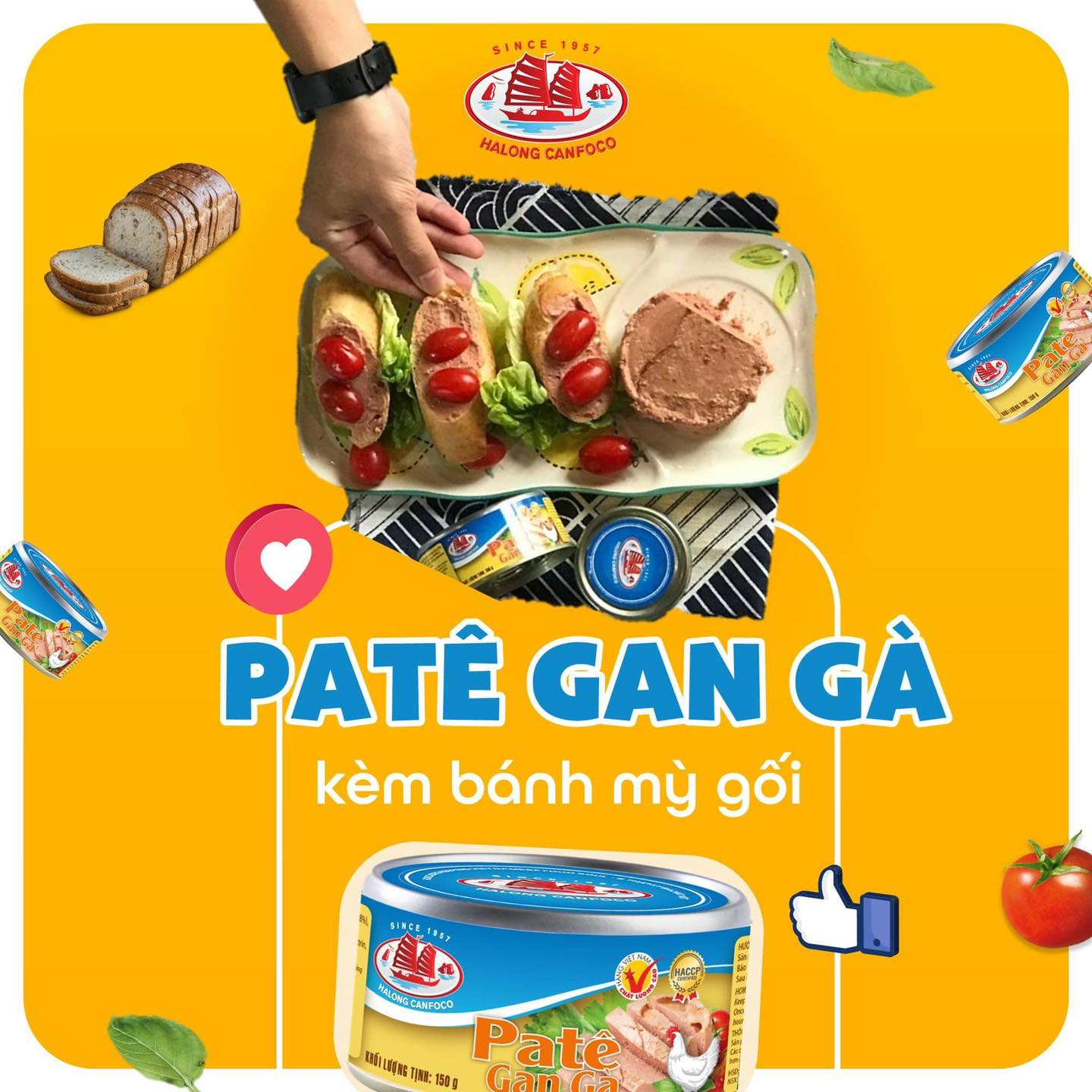 Combo 5 Pate gan gà 150g - Đồ Hộp Hạ Long