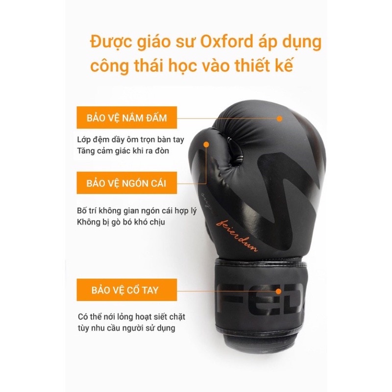 Găng tay boxing Cao Cấp FED 6oz