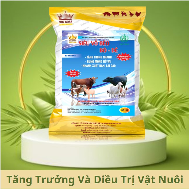 Siêu Vỗ Béo Bò Dê, Hàng Chuẩn Công Ty BigBoss