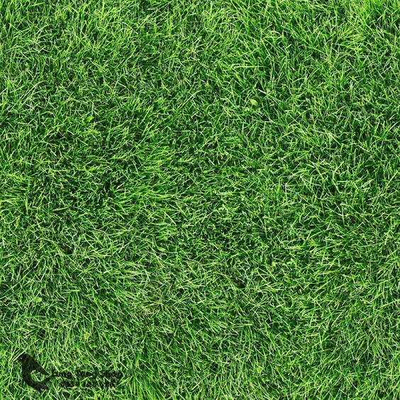[ 1 mét vuông ] Thảm cỏ nhựa nhân tạo cao cấp ( cỏ cao 2cm )