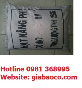 Đá Nâng PH- Hạt Nâng PH