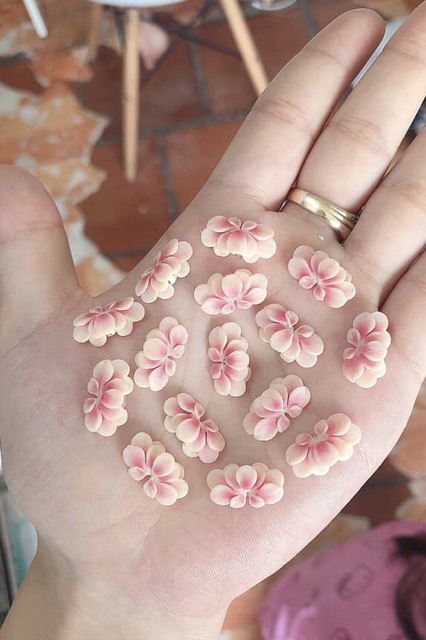 Cúc ombre ( 1b) Phụ kiện Nail