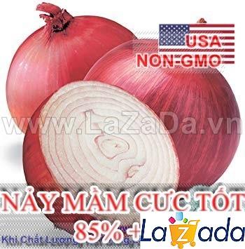 0.3Gr Hạt Giống Hành Tây Đỏ Mỹ Ruby (B3.105| C24*W21*M215)