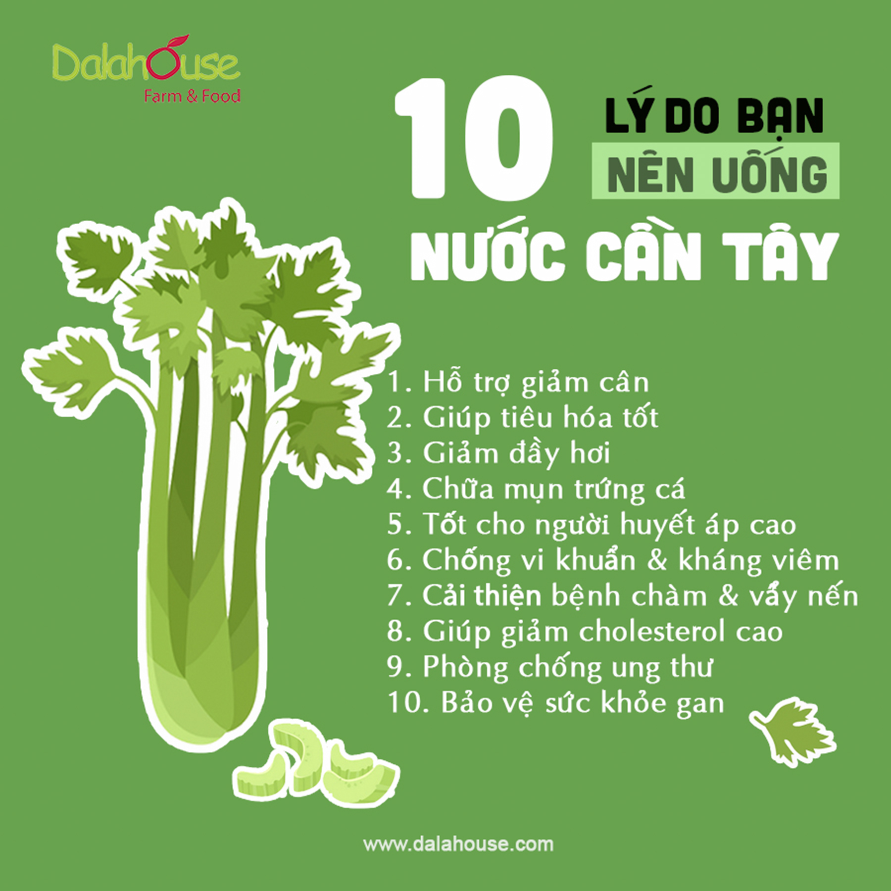 Bột Cần Tây DalaHouse 60 gram ( Organic Celery Powder)