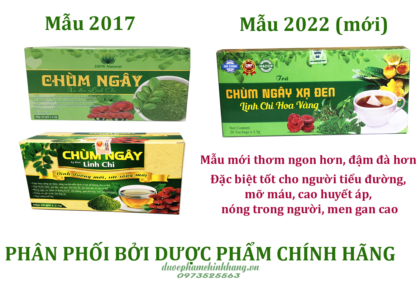 Trà Chùm ngây linh chi xạ đen