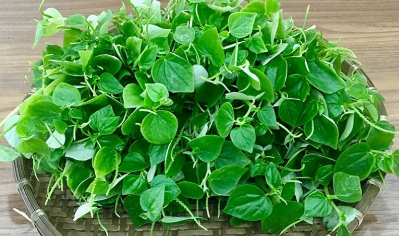 HẠT GIỐNG RAU CÀNG CUA gói 0,5 gram